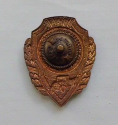 CIMG1985-crop_500x529.jpg