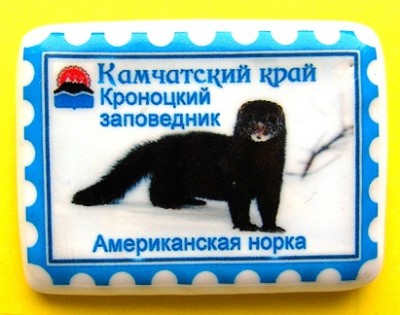 1Mink.jpg