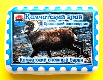 1Snow ram.jpg
