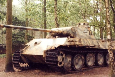 Panther_.jpg