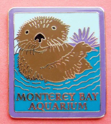 Sea otter11.jpg