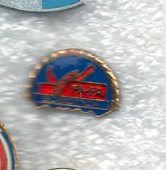 img451.jpg