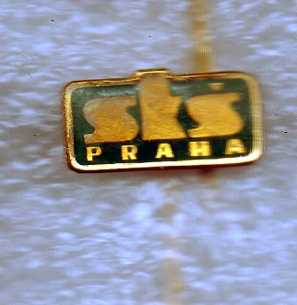 img453.jpg