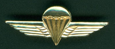 Kenya parabadgemetal.jpg