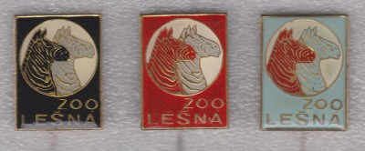 a001lesna 005.jpg