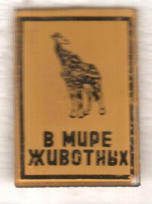 красная книга 024.jpg