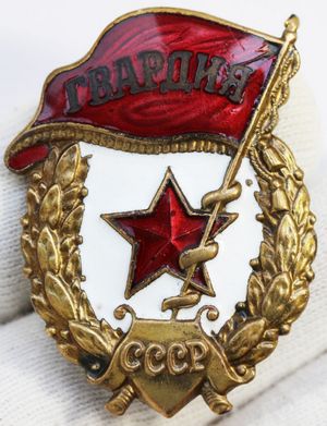 гвардия переходная-1.jpg