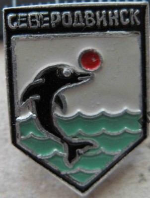 6155915110.jpg