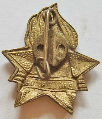 APZ_11.jpg