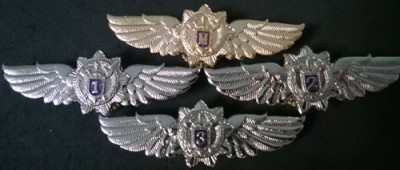 WP_20160805_017.jpg