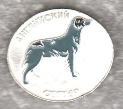 Cобаки 014.jpg