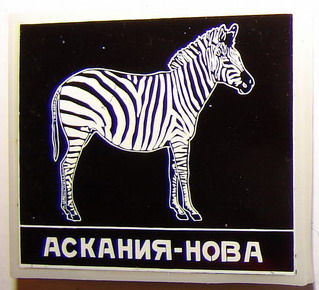 Зебра.jpg