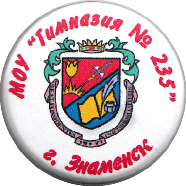 Гимназия 235.jpg