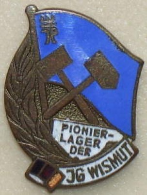 DDR pioner vismyt.jpg