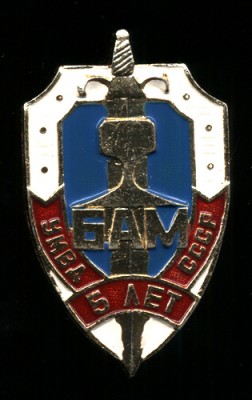 УМВА-БАМ-5-лет.jpg