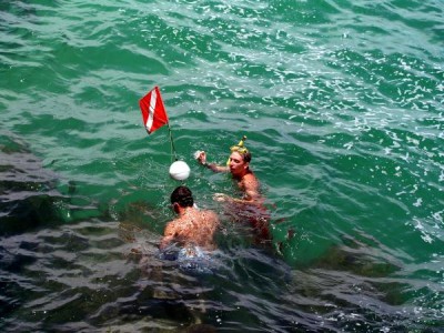 divers-at-sebastian-inlet-on-the-atlantic-coast-of-florida-allan-hughes.jpg