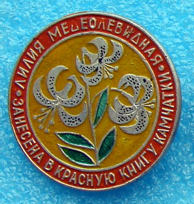 Флора6.jpg