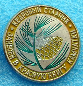 флора1.jpg