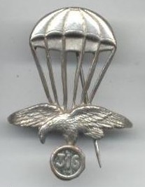 10919197.jpg