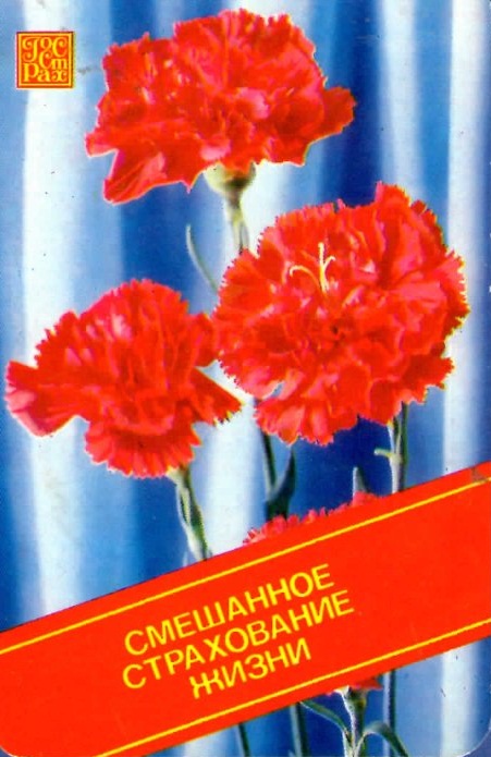 img148.jpg