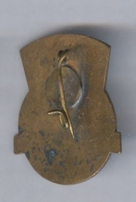 RNP100_1.jpg