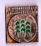 img114.jpg