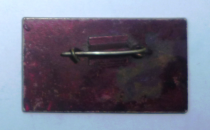 Копия P1150789.JPG