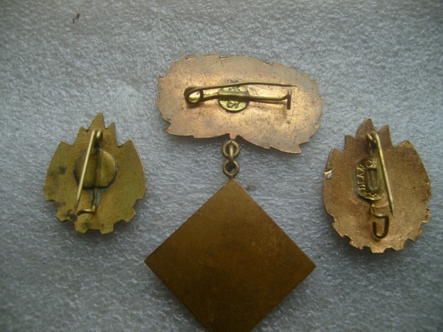 S7002724 (Small).JPG