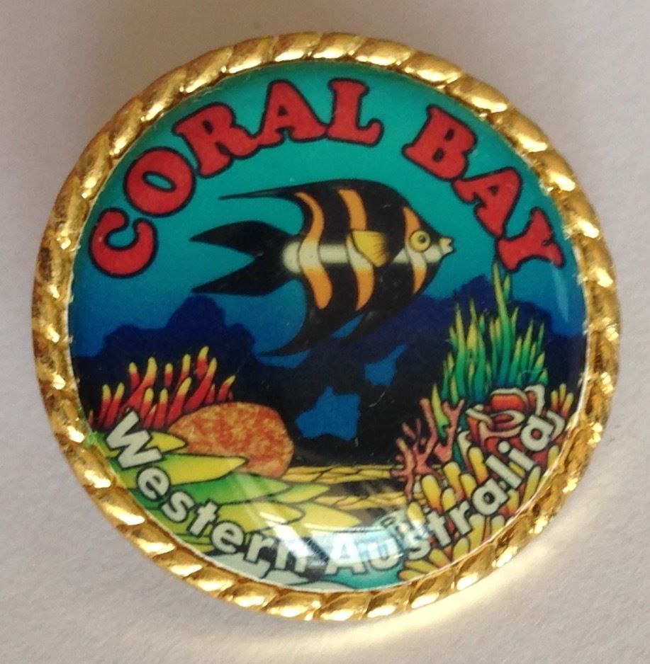 Coral-Bay-Western-Australia-Reef-Fish-Marine-Pin.jpg