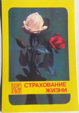 2017090-275.jpg
