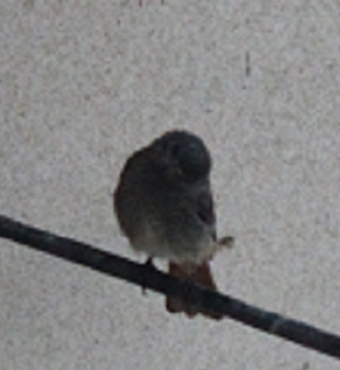 IMG_3401.JPG