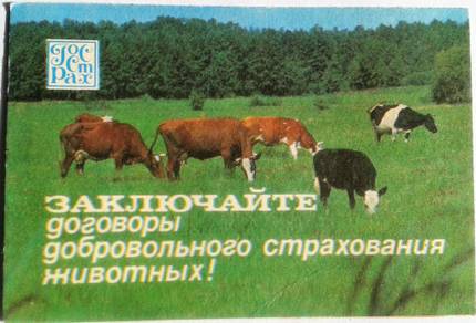 xQml2-430.jpg