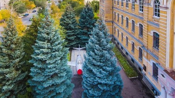 оенбург.сам.ю.а.г.ели подросли.jpg