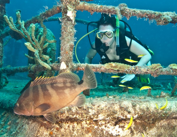 Bahamas_AustinSmithLauraGrouper_MiaToose-e1392671185763.jpg