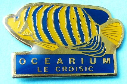 Ocearium.jpg