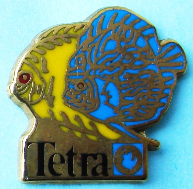 Tetra2.jpg