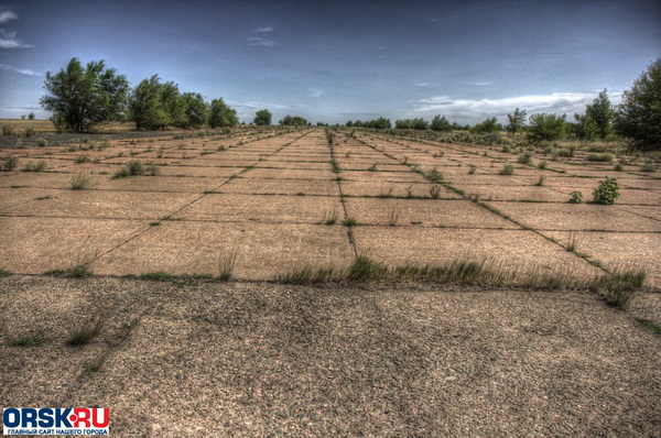 впп заростает.jpg