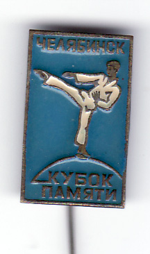 карате челябинск.jpg