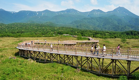6853_11.jpg