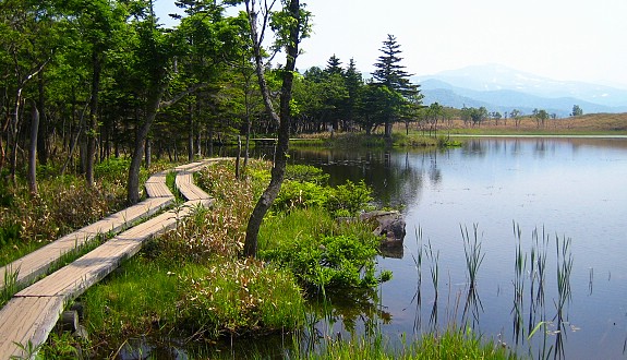6853_12.jpg