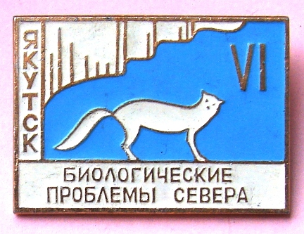 BPS VI.jpg