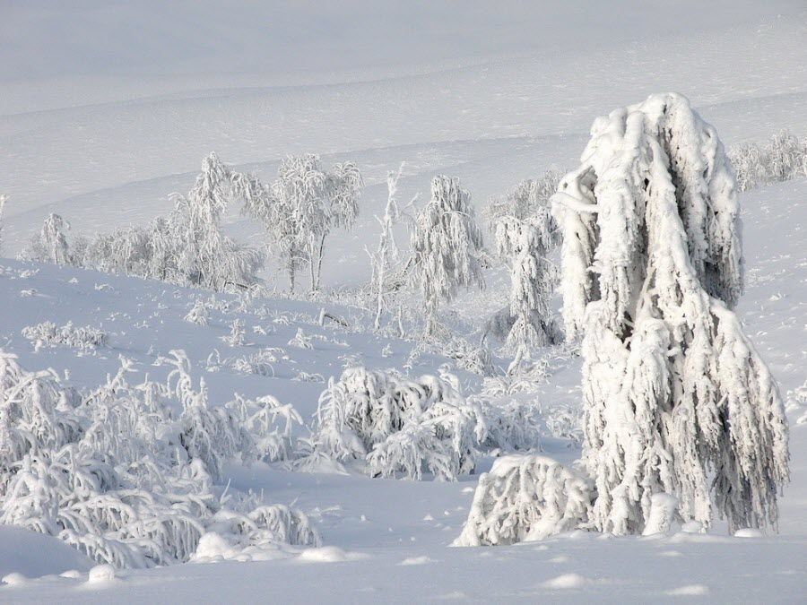 бутурлинская ст. зима.jpg