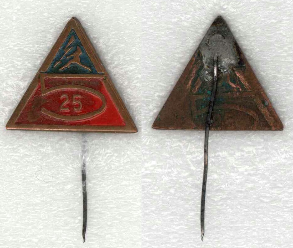 ВНИИЭМ 5 (25) лет.jpg