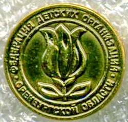 федерация детских организаций оренб.обл..jpg