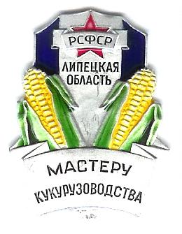 кукурузоводста. РСФСР. Липецкая область.JPG