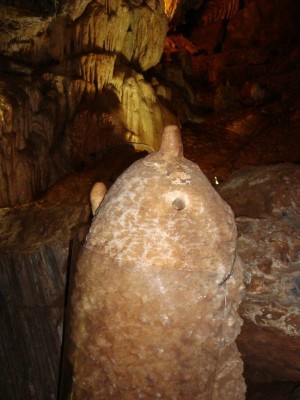 Image_9.jpg