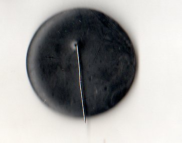 img394.jpg