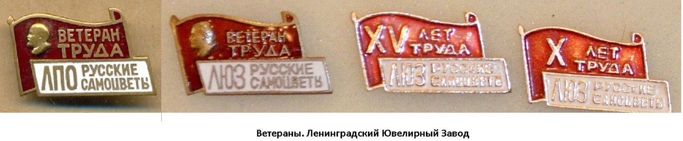 51013673.jpg