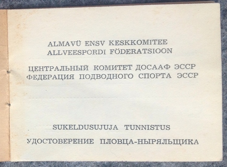 image (1).jpg