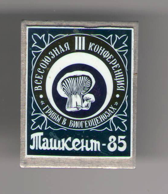 Грибы Ташкент-83.jpg